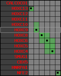 region75, score=1631