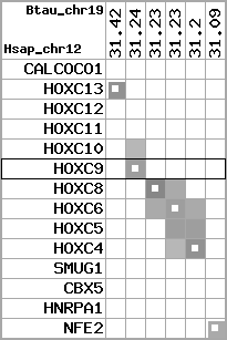 region75, score=1631