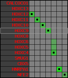 region84, score=3113