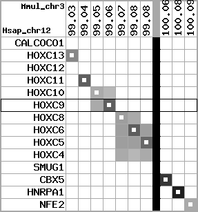 region98, score=4080