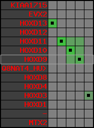 region64, score=1631