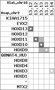region84, score=1430