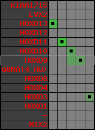 region91, score=1333