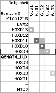 region93, score=1305