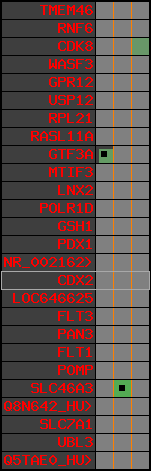 region13, score=406