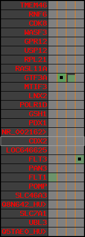 region32, score=237