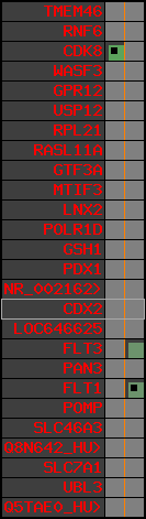 region53, score=251