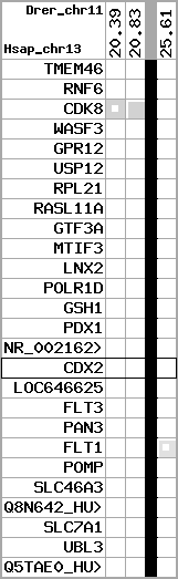 region55, score=142