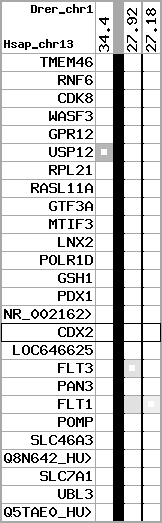 region57, score=295