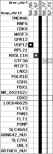 region5, score=1605