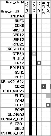 region9, score=1537
