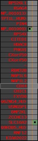 region32, score=224