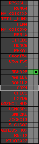 region42, score=453