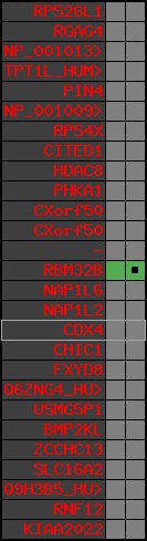 region43, score=295
