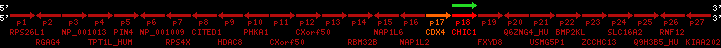 region5, score=669