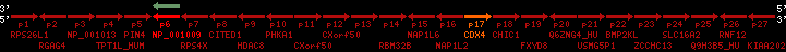 region7, score=114