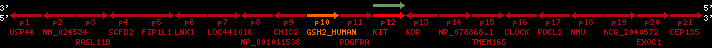 region11, score=119