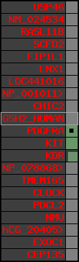 region28, score=116