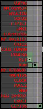 region49, score=175