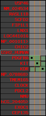 region51, score=299
