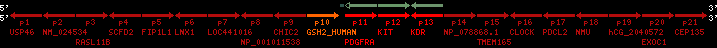 region52, score=253
