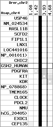 region52, score=253