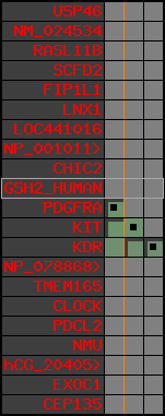 region53, score=203