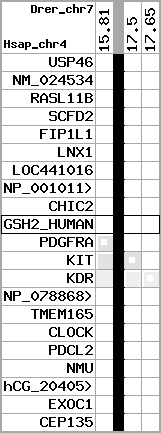 region53, score=203