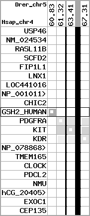 region55, score=507