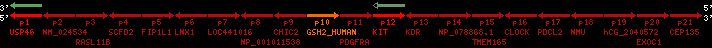 region57, score=273