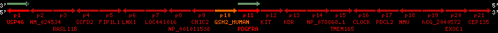 region58, score=233