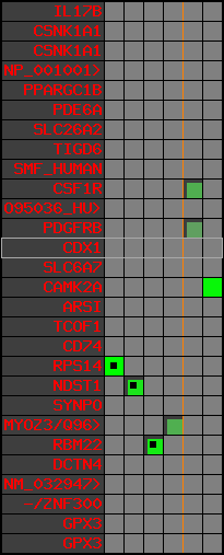 region1, score=2550