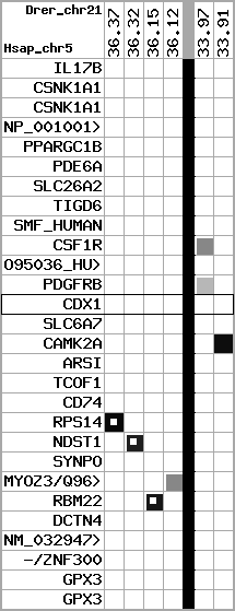 region1, score=2550