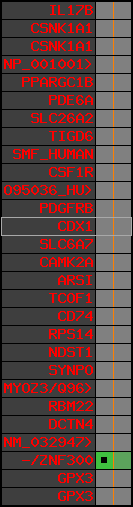 region32, score=435
