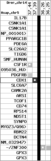 region41, score=953