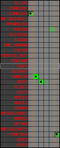 region42, score=2238