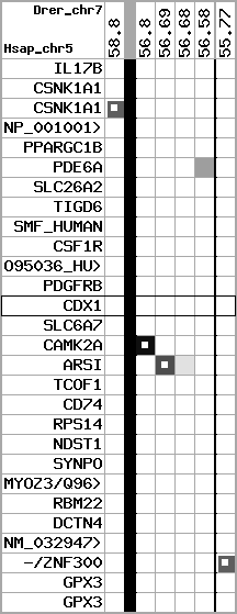 region42, score=2238