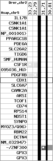region45, score=571
