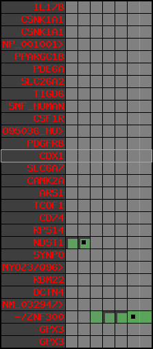 region49, score=383