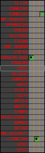 region51, score=781