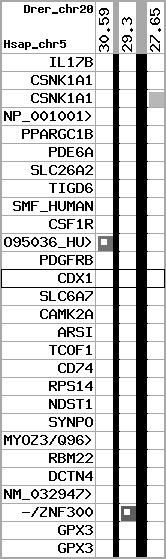 region51, score=781