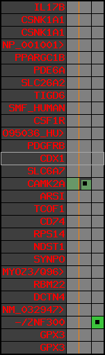region52, score=628