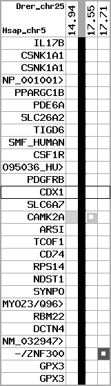 region52, score=628