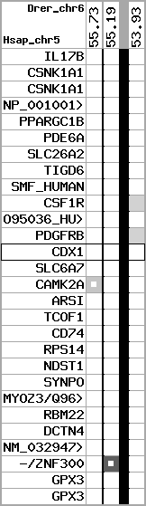 region55, score=559
