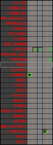 region56, score=336
