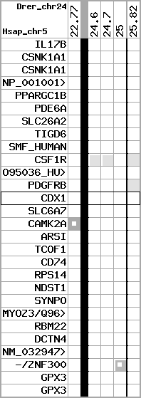 region56, score=336