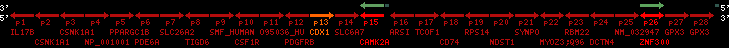region57, score=378