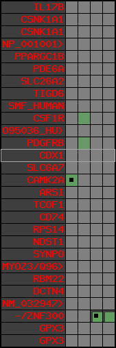 region57, score=378