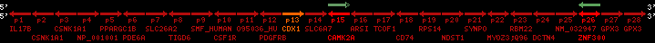 region58, score=342