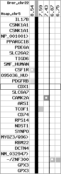 region59, score=541